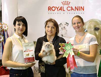 �������� �����  18-19 ������� 2014 ������������ ��� 4-199-169A3863 copy.jpg